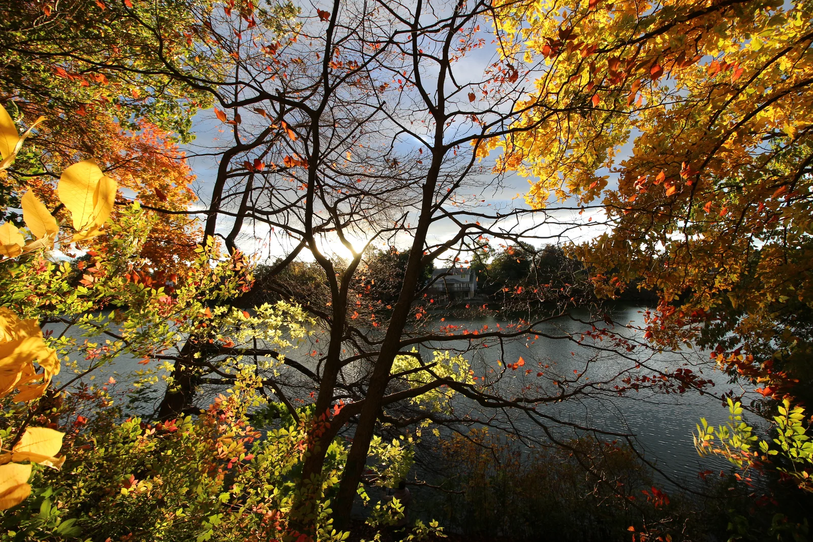 Orange and yellow fall leaves framing a view of Lake Matawan
