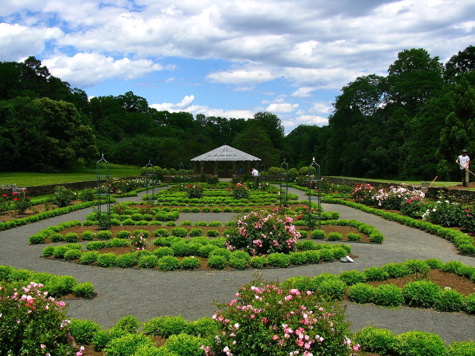 Curving boxwood-edged beds of pink roses around a small pavilion in the rose parterre at Deep Cut Gardens
