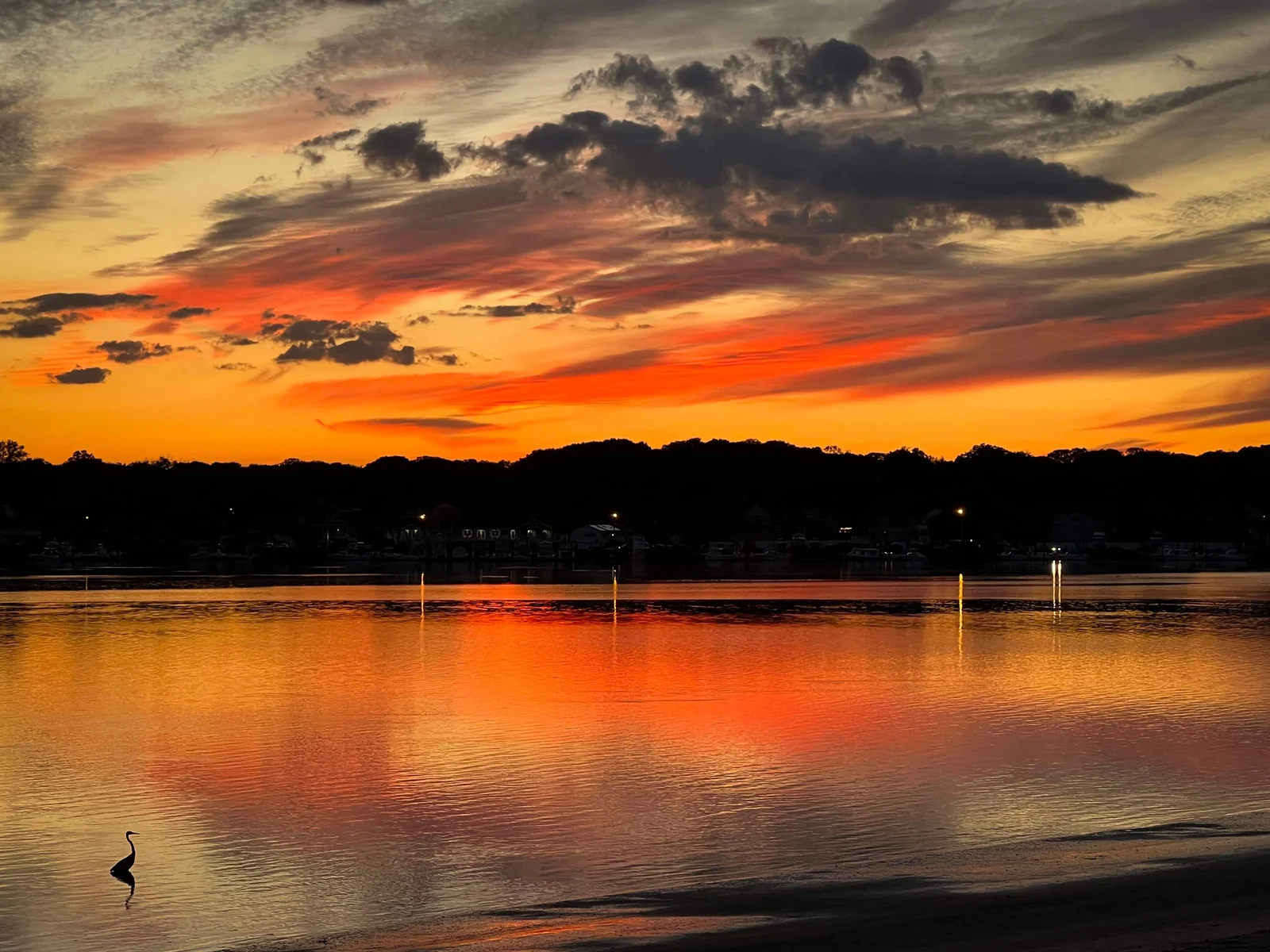 Orange and gold sunset reflected in the Shark River, with a heron standing in the shallows and the far shore in silhouette