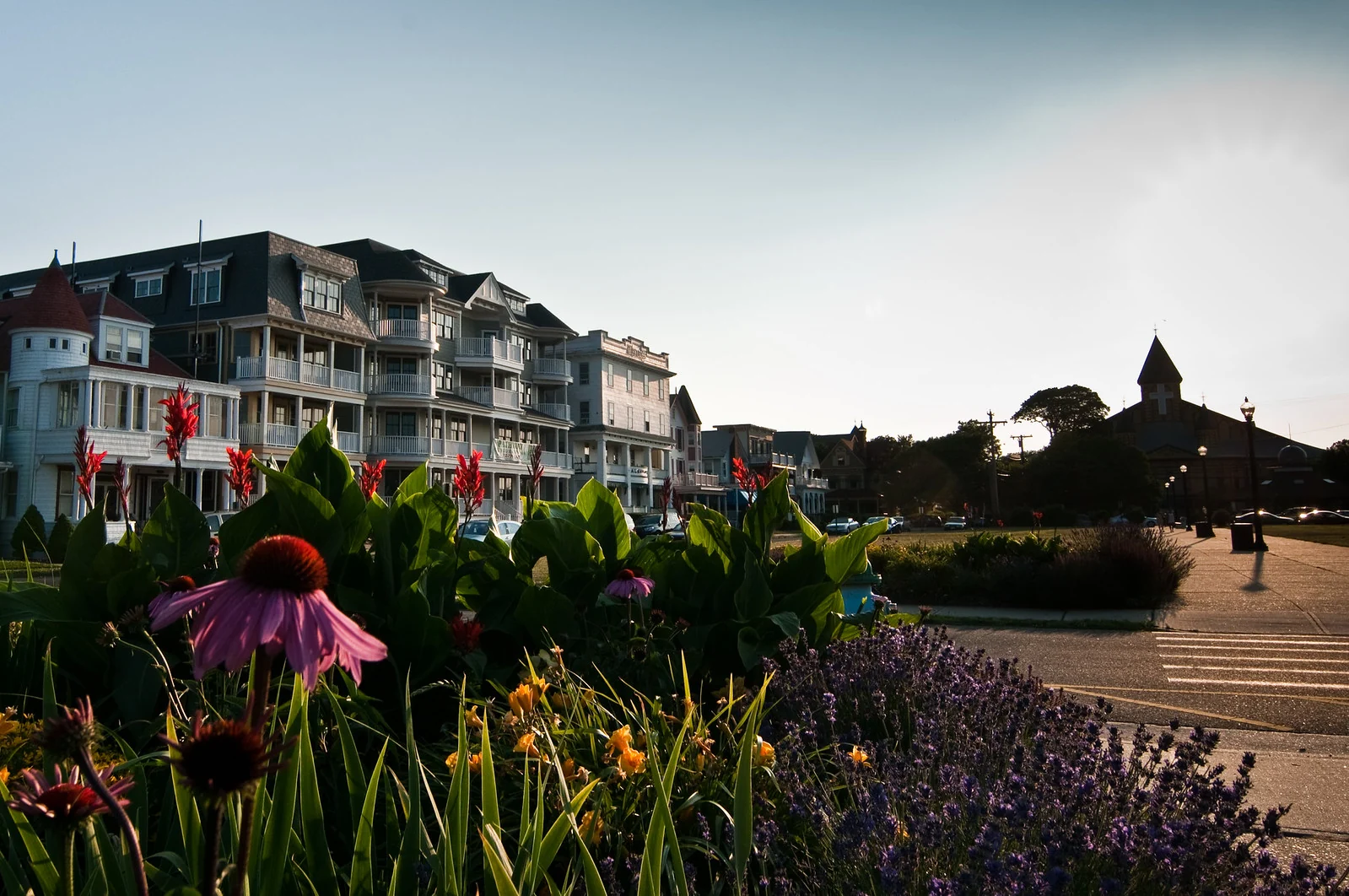 Coneflowers and lavender in the Ocean Pathway gardens, with Victorian hotels lining the pathway at sunset
