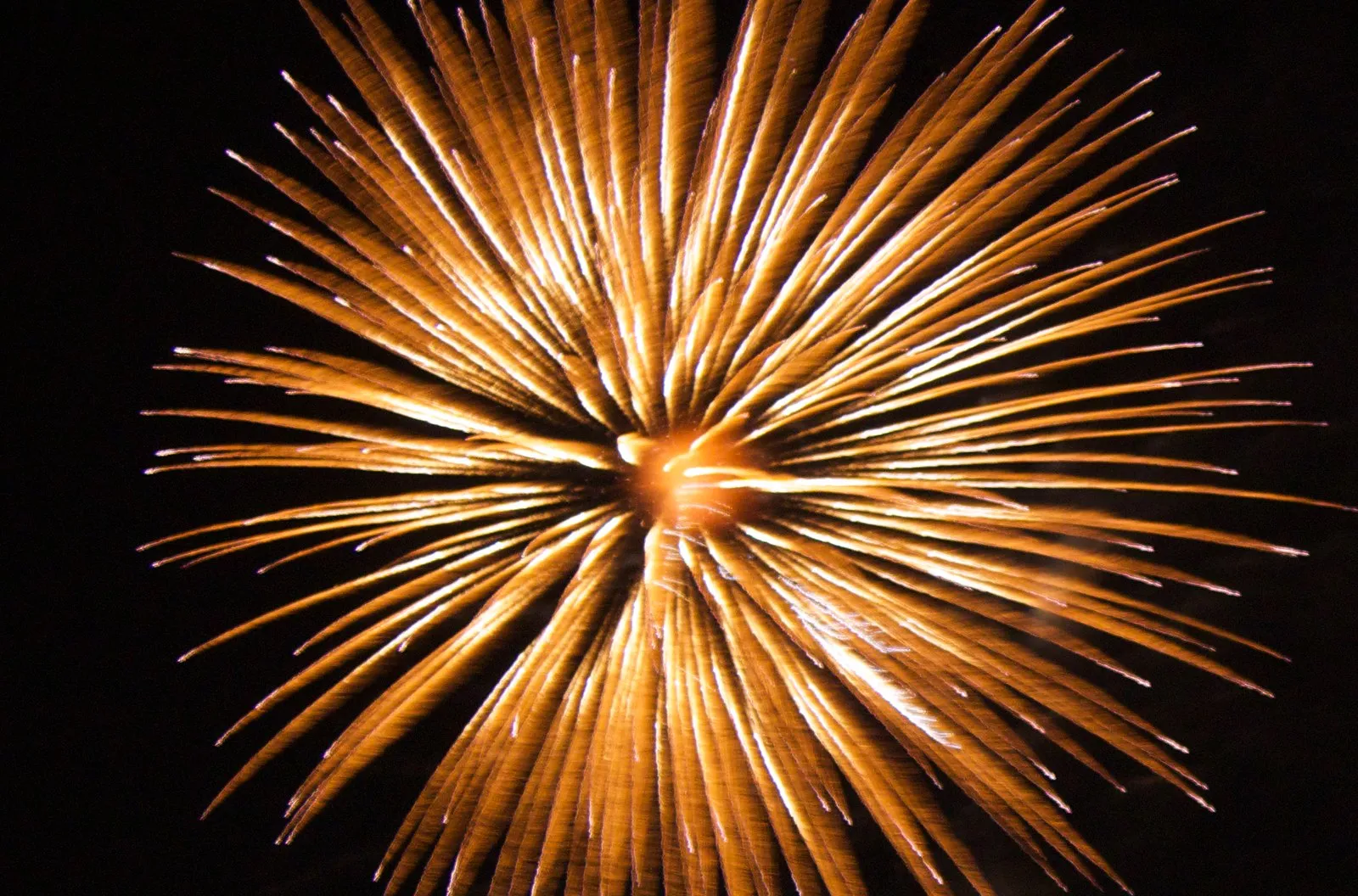 A large golden firework bursting against a black night sky