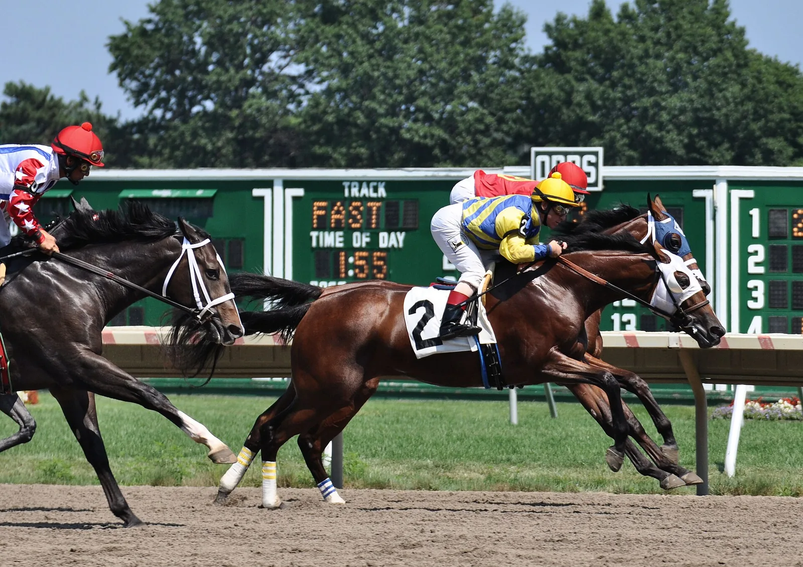 Two thoroughbreds and their jockeys racing past the tote board at Monmouth Park