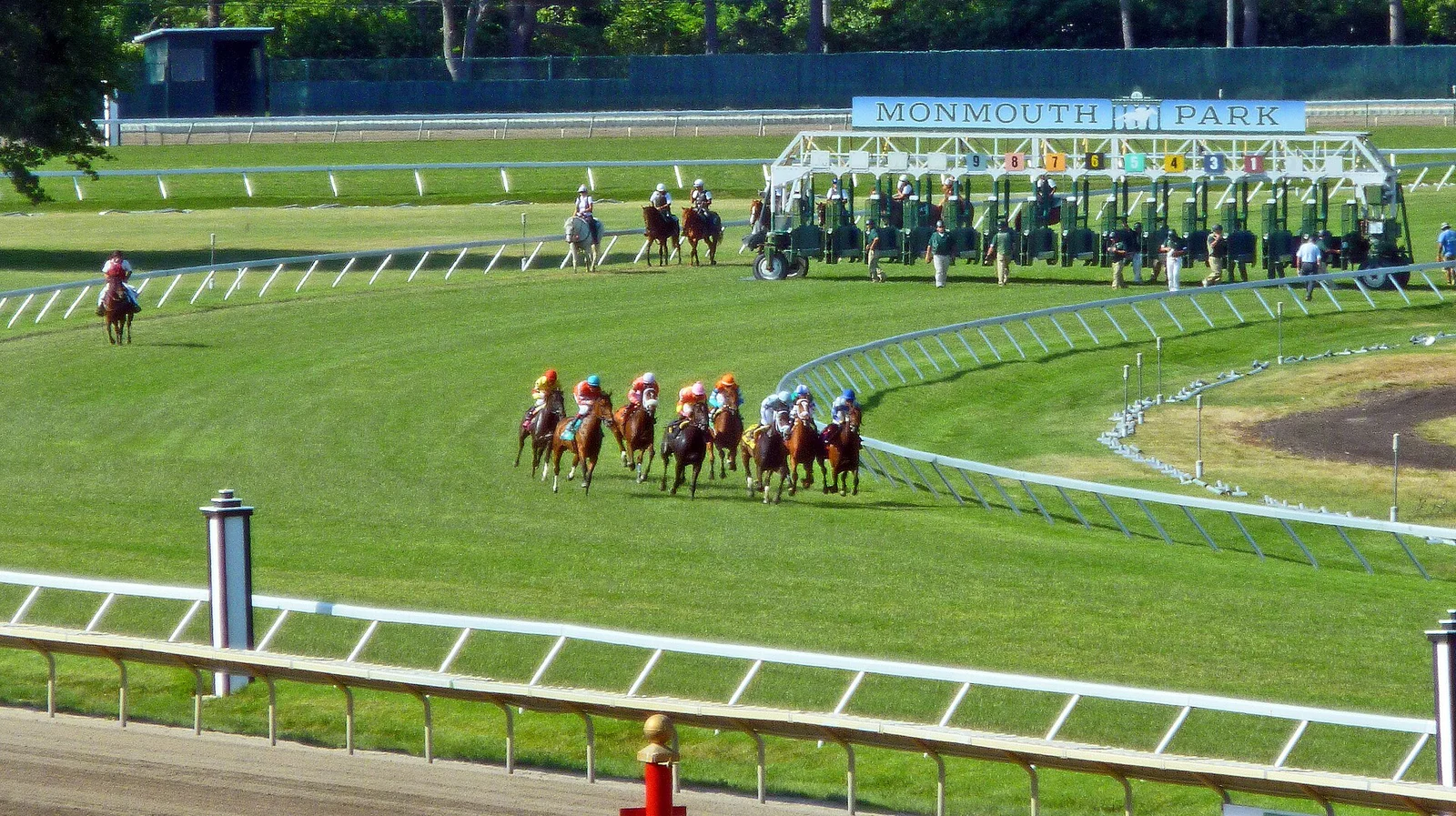 Horses breaking from the starting gate on the infield turf chute at Monmouth Park, under the Monmouth Park sign