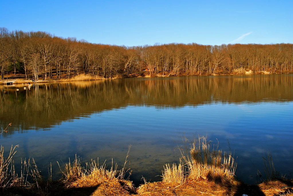 Still blue water reflecting a wooded shoreline under a clear sky at Cheesequake State Park