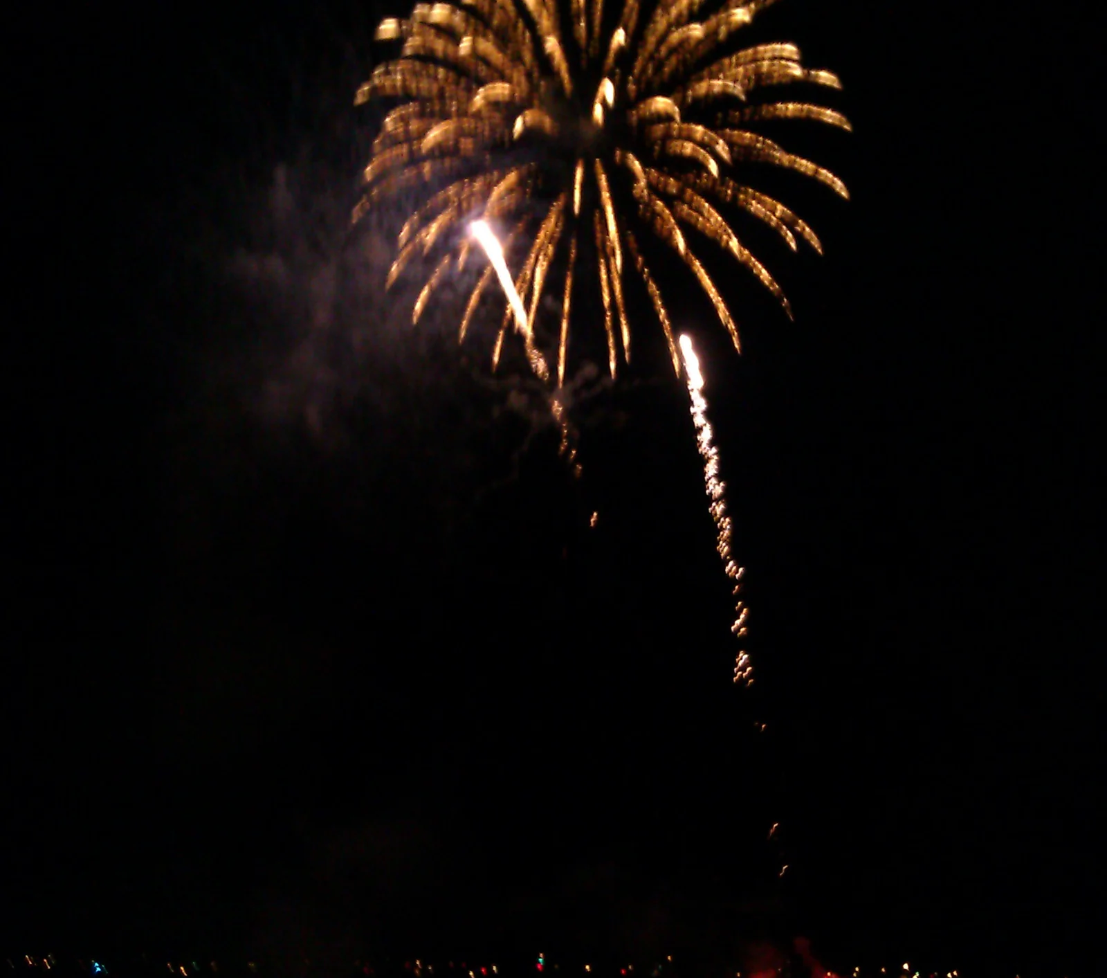 A gold firework bursting over the dark ocean beach in Point Pleasant Beach