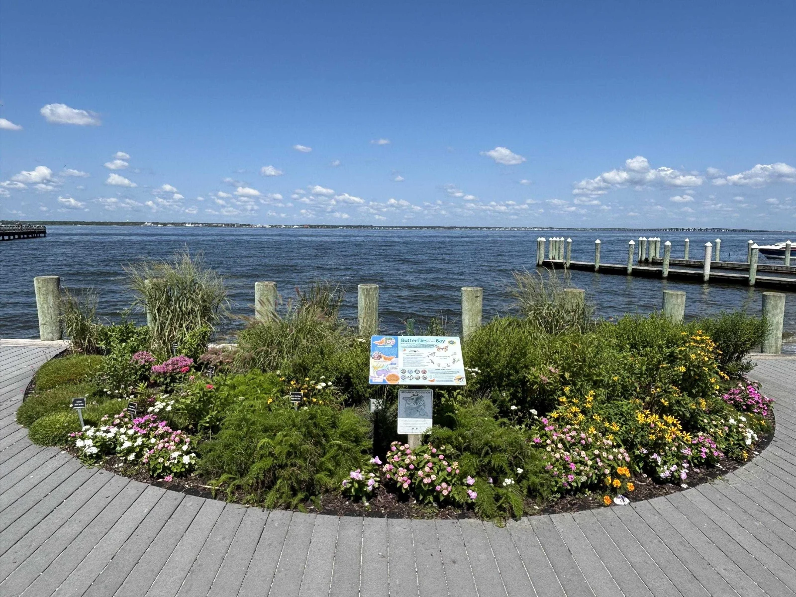 A round flower garden with pink and white blooms on the deck at the 14th Avenue Pier, with Barnegat Bay and the pier behind