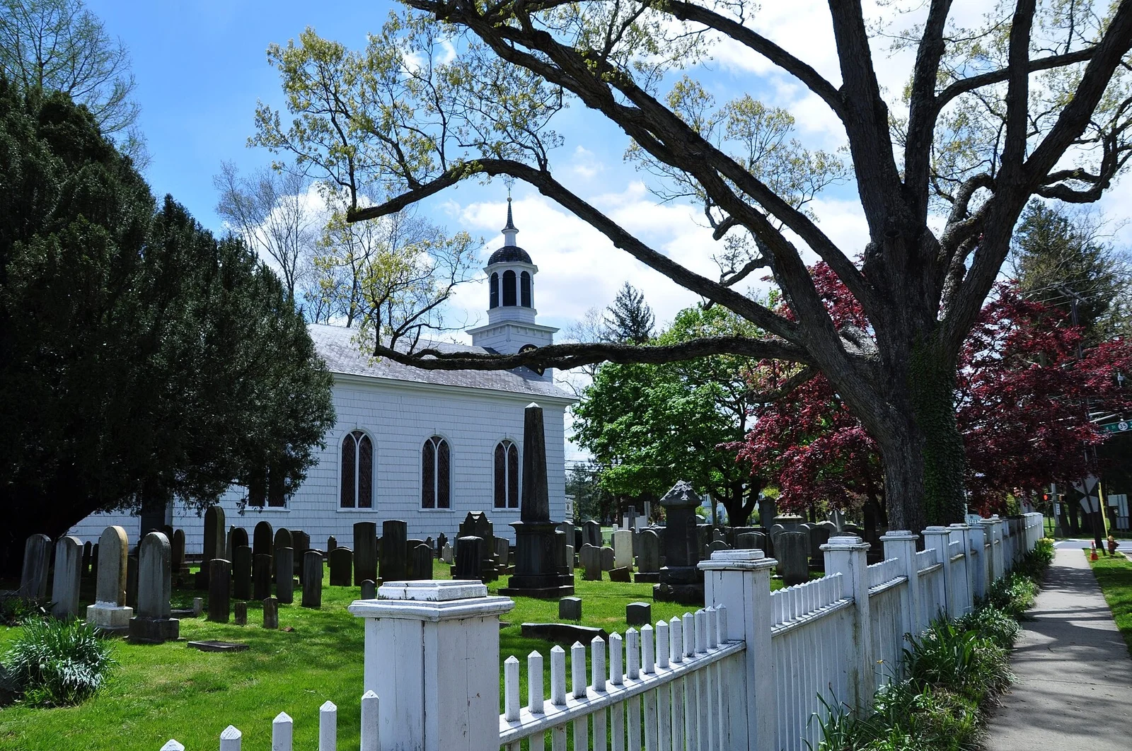 The white steepled Christ Church seen through old trees, with its historic churchyard and a white picket fence along the sidewalk