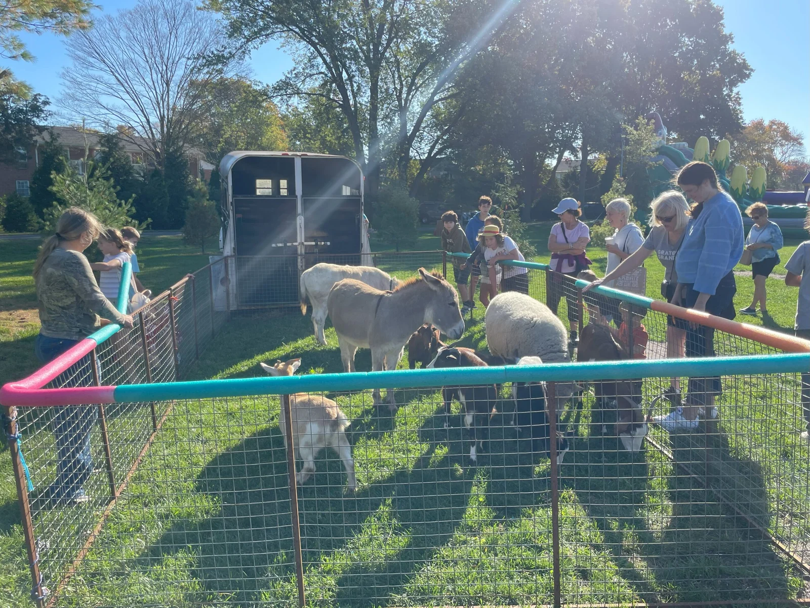 Visitors leaning on a fenced pen to pet donkeys, sheep and goats in the sun at the Fall Festival petting zoo