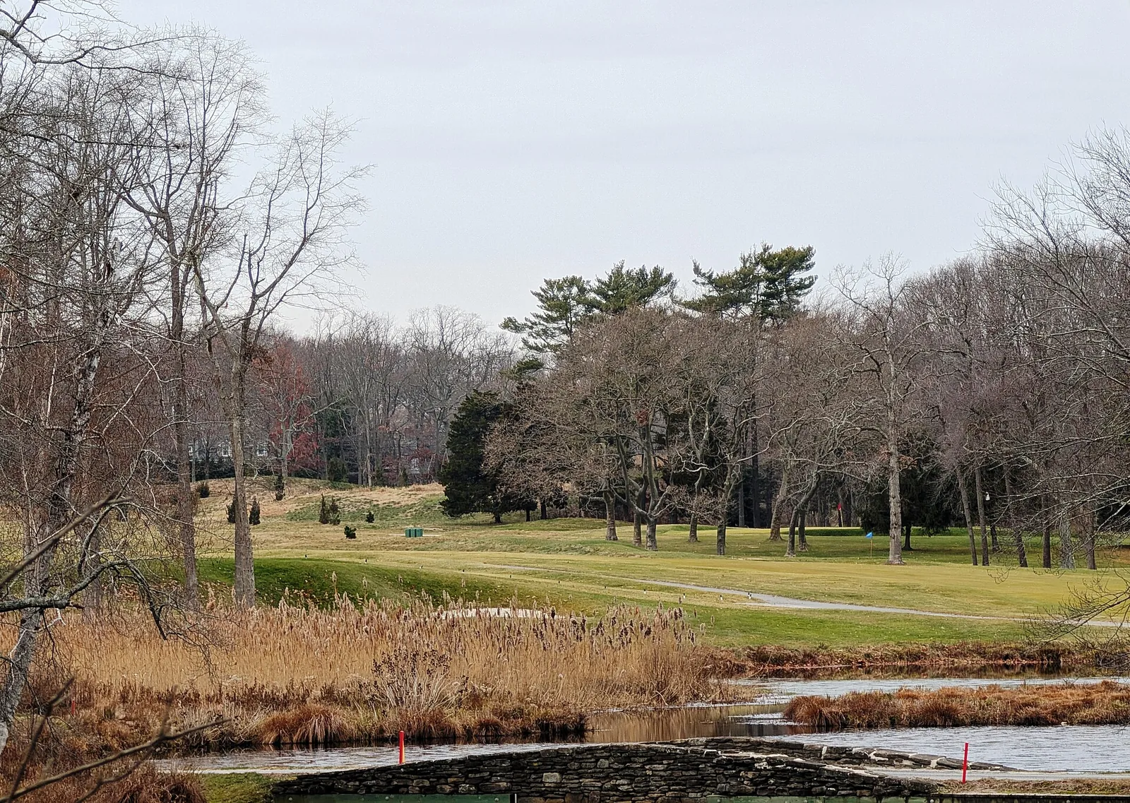 Fairways and tall trees at the Spring Lake Golf Club, with a brook and reeds in the foreground