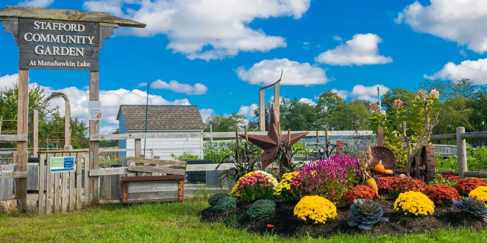 Wooden Stafford Community Garden sign above beds of yellow, orange and purple fall mums beside a fenced garden