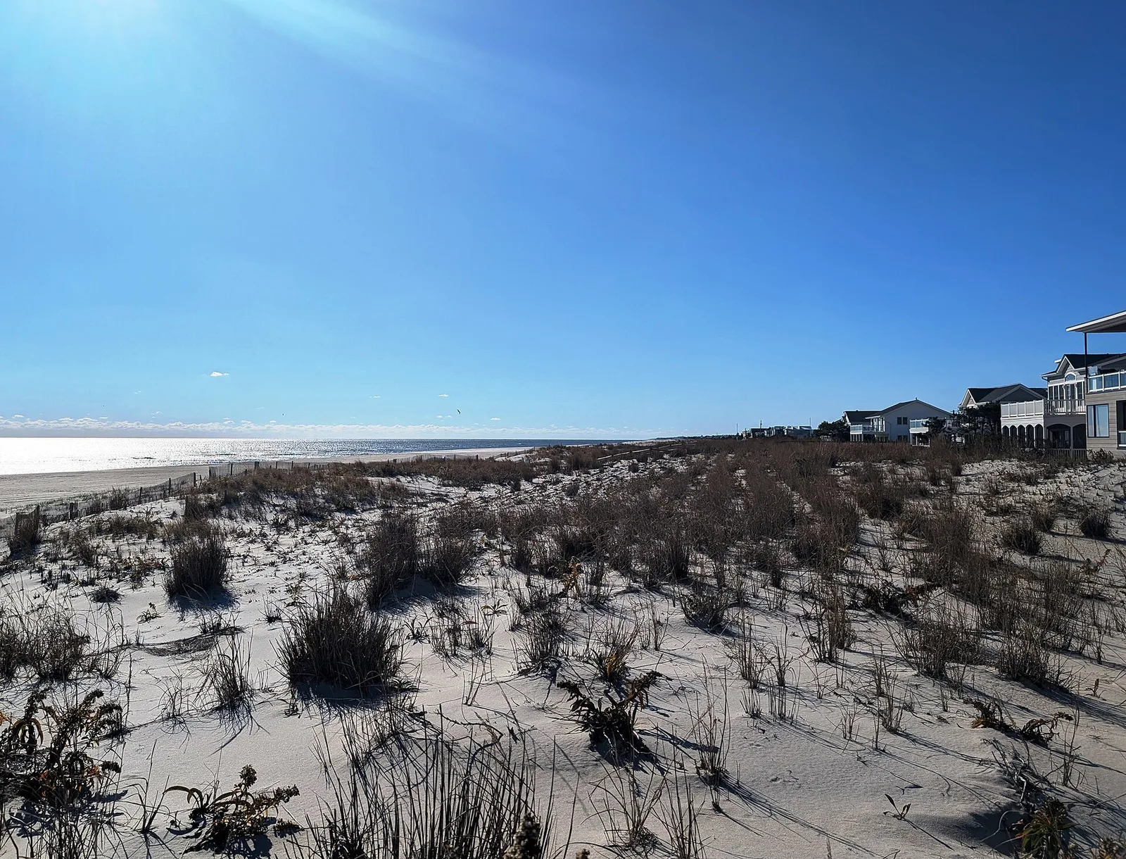 The dunes and ocean beach in Surf City looking south from Division Avenue under a clear blue sky