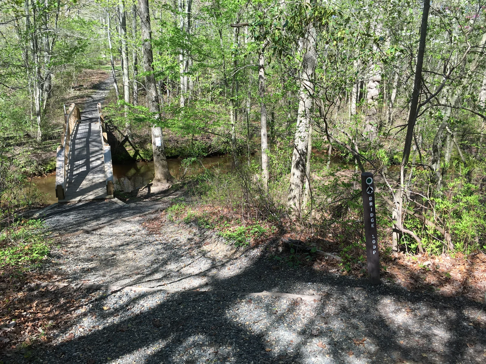 Gravel trail leading to a wooden footbridge over the Shark River through spring woods, with a trail marker post