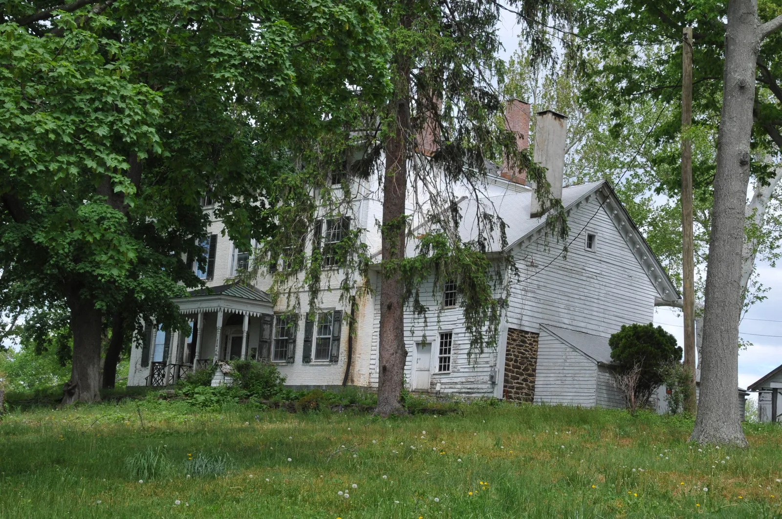 A large white historic farmhouse among tall shade trees at Merino Hill