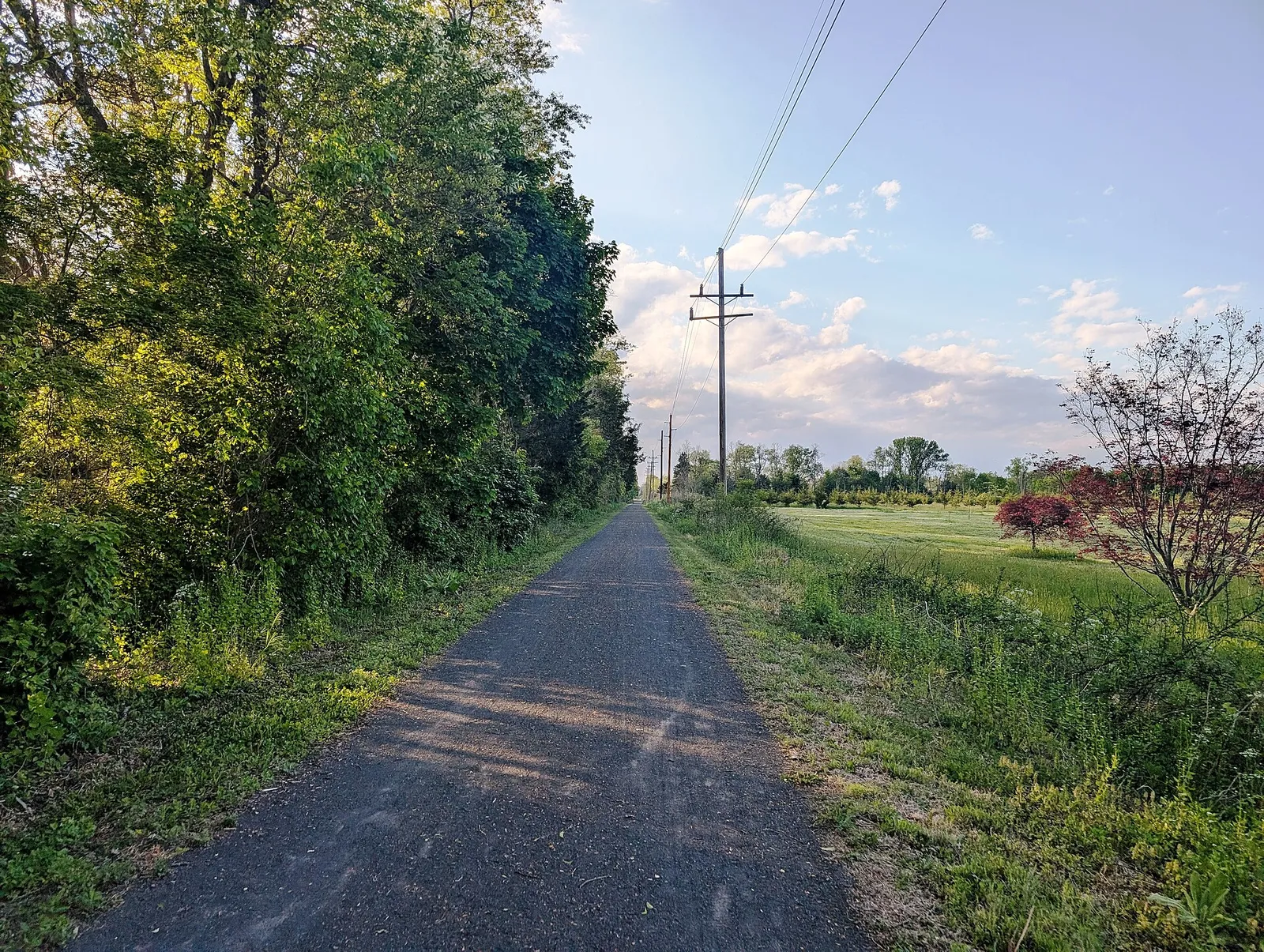 A paved rail-trail between a tree line and open fields on a sunny evening