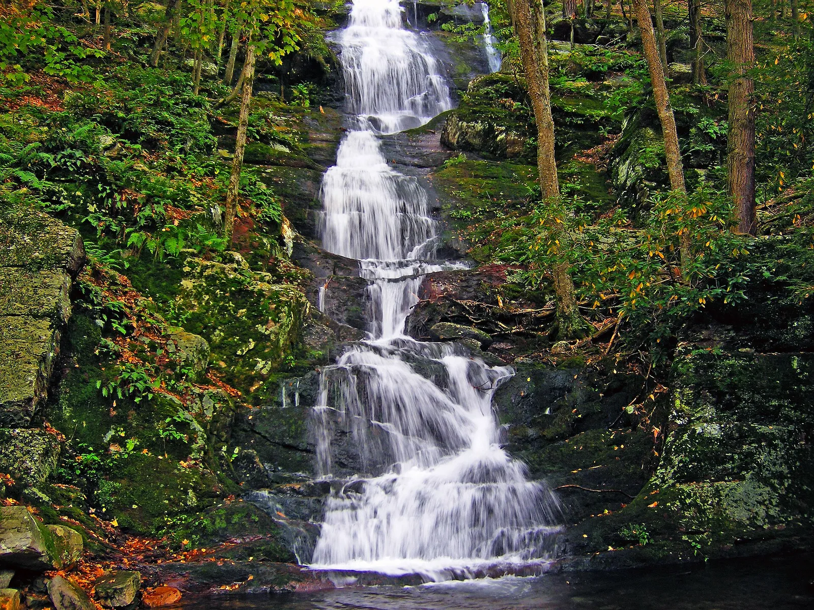 Buttermilk Falls cascading down a mossy rock face in the woods