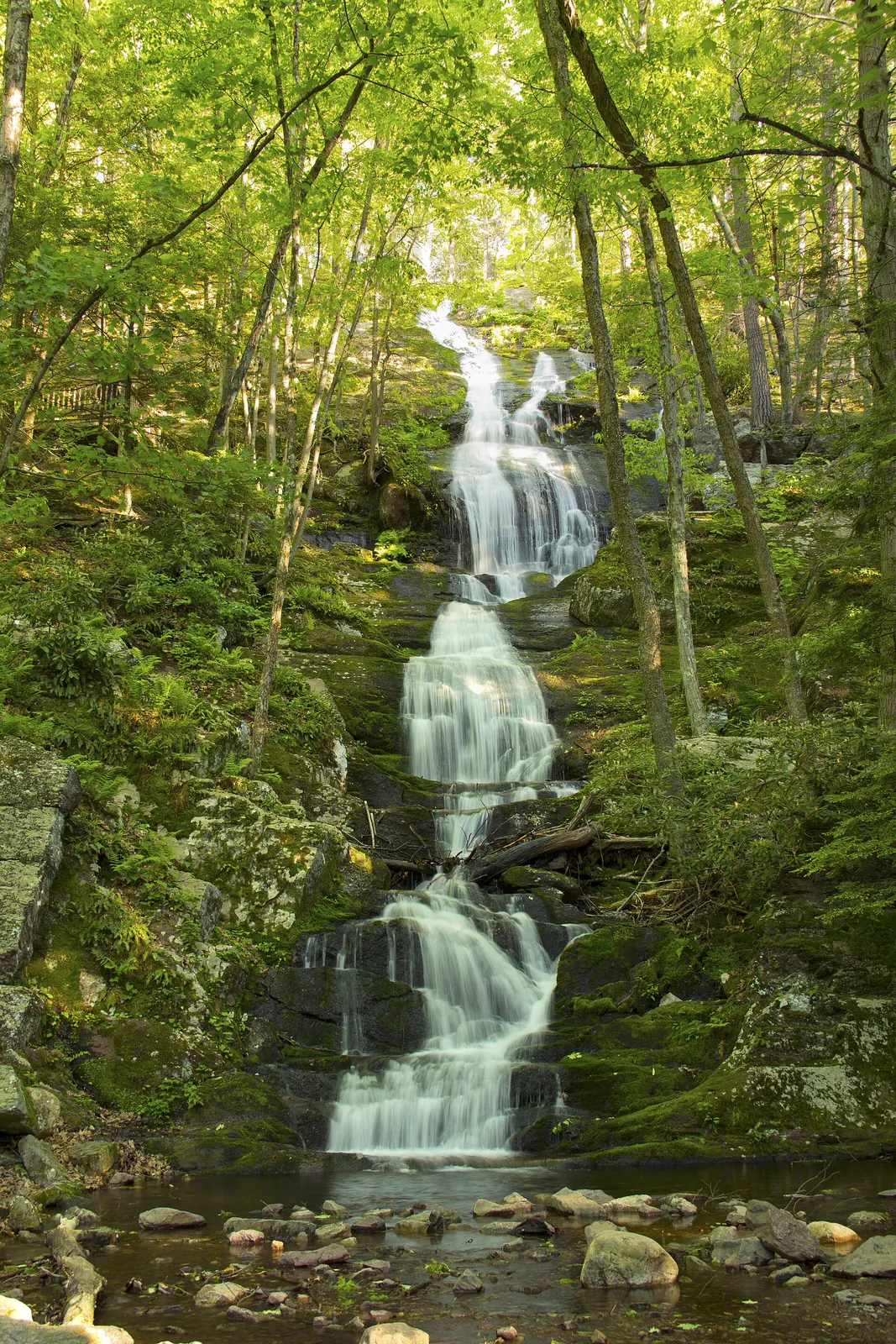 Buttermilk Falls flowing down a tall rock face in a green forest