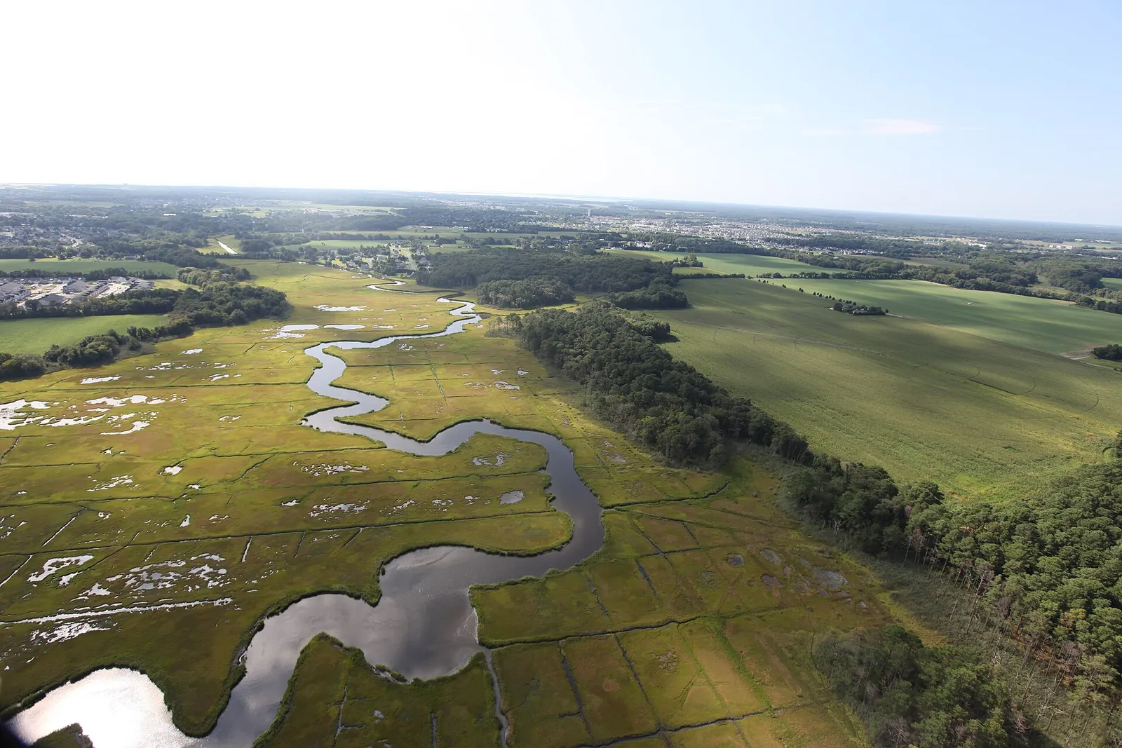 Aerial view of a winding creek through green salt marsh
