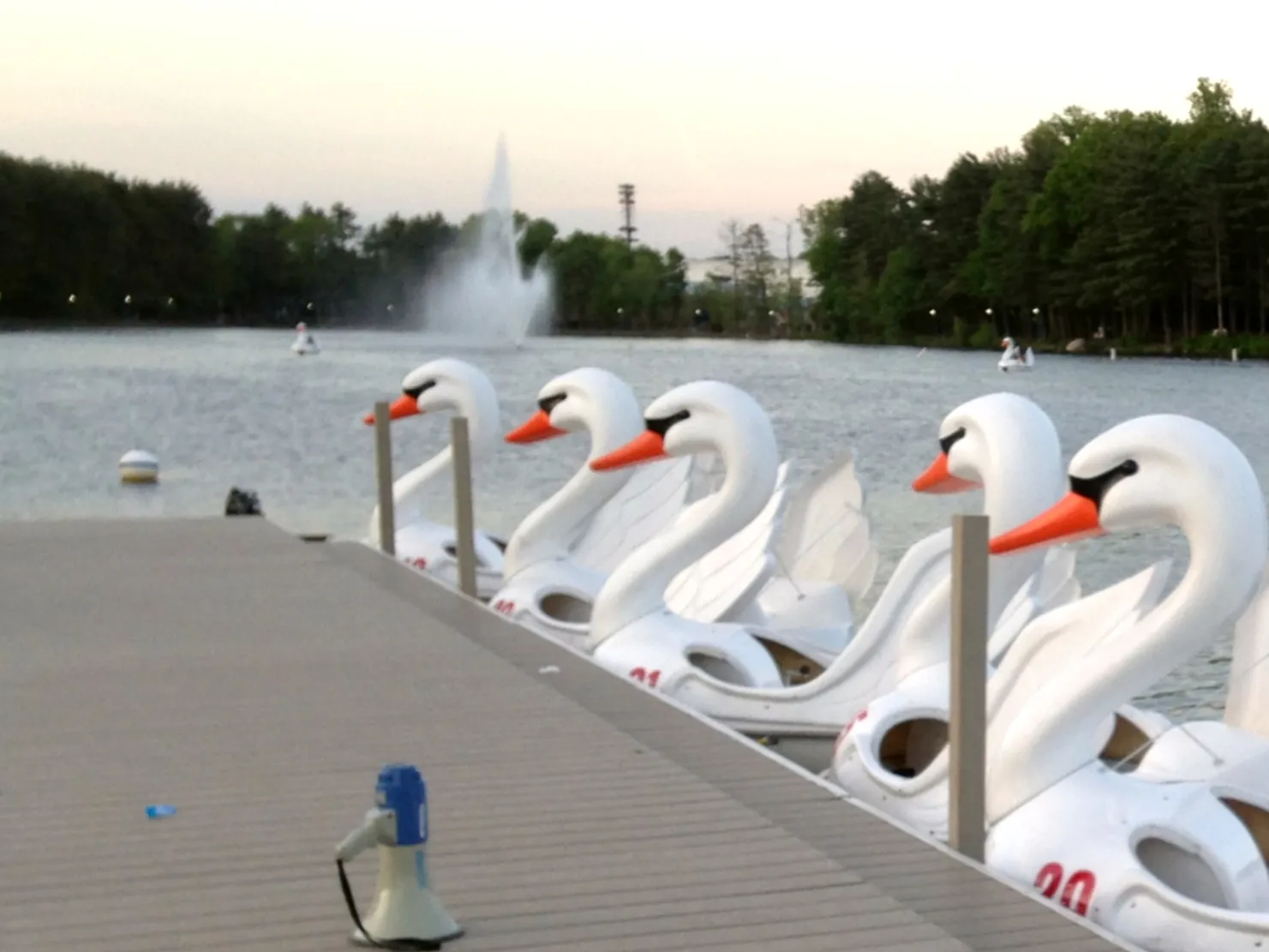 White swan paddle boats lined up at a dock on the reservoir