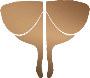 The Moth Coffeehouse logo