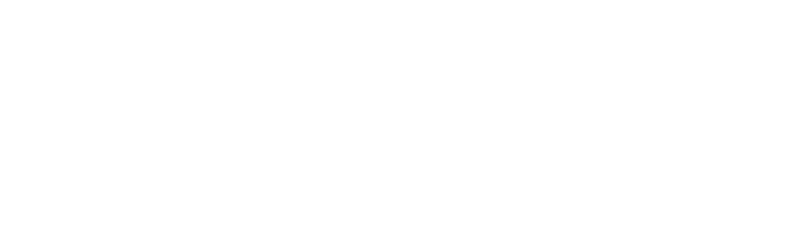 Nocca logo