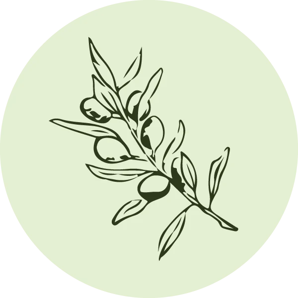 Olive & Oak logo