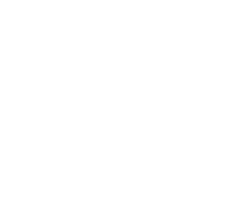 Carpe Vita logo