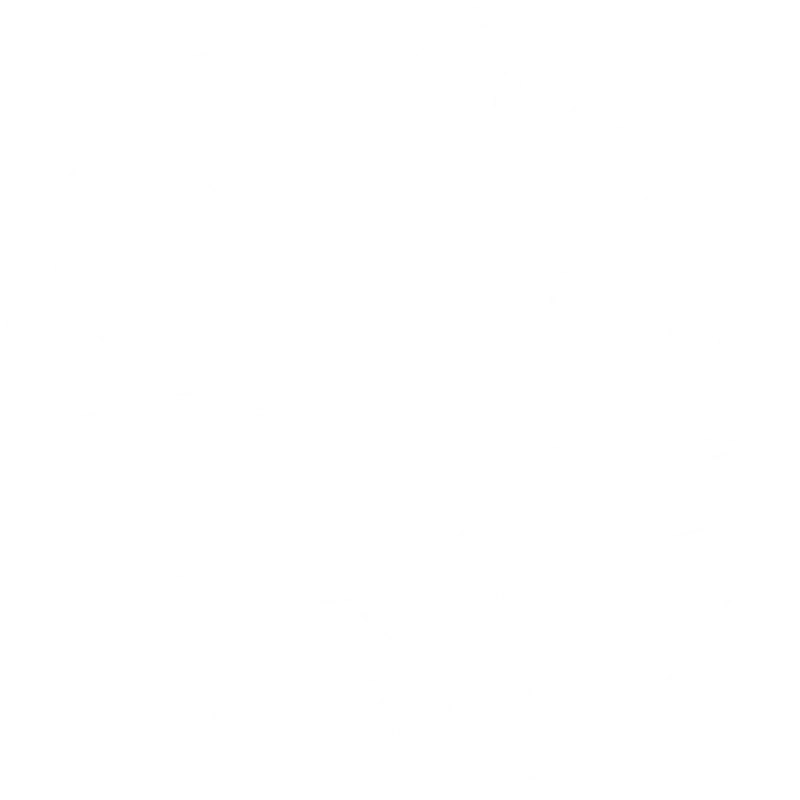 Mickey's Port of Call Pub logo